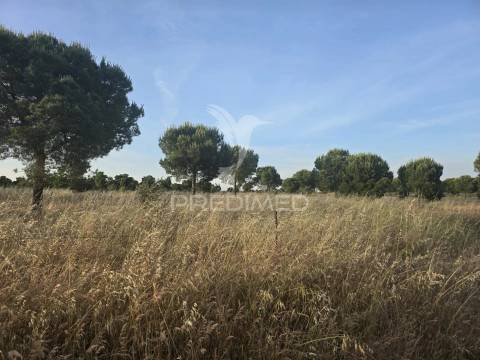 Herdade com 55,9 hectares e ruína com potencial turístico no concelho de  ourique – baixo alentejo
