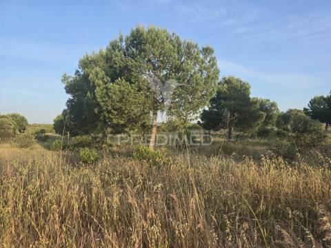 Herdade com 55,9 hectares e ruína com potencial turístico no concelho de  ourique – baixo alentejo