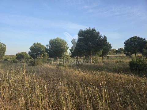 Herdade com 55,9 hectares e ruína com potencial turístico no concelho de  ourique – baixo alentejo