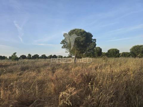 Herdade com 55,9 hectares e ruína com potencial turístico no concelho de  ourique – baixo alentejo