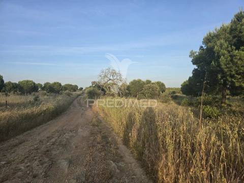 Herdade com 55,9 hectares e ruína com potencial turístico no concelho de  ourique – baixo alentejo