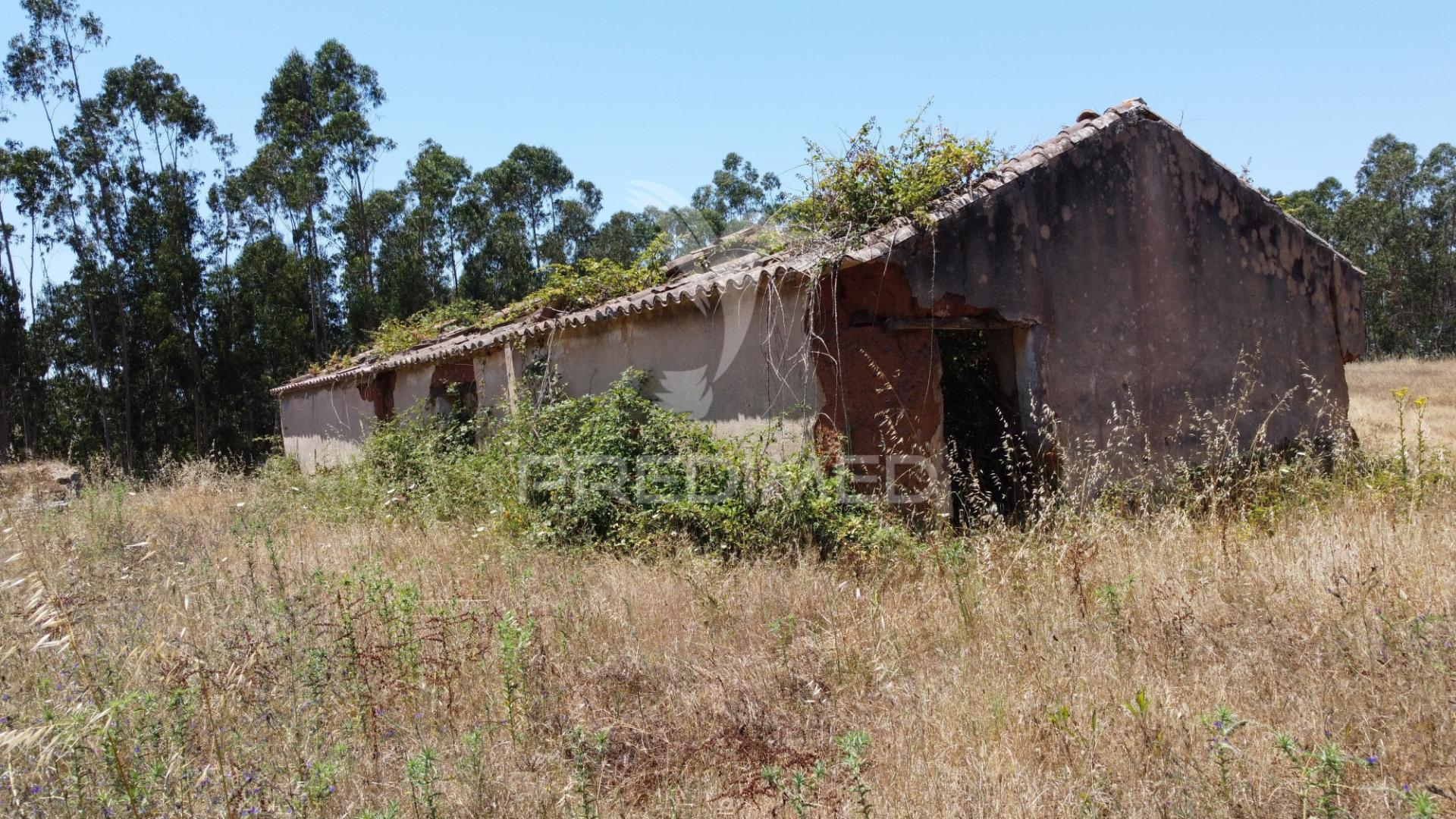 Herdade  53 hectares com projeto de arquitetura – odemira
