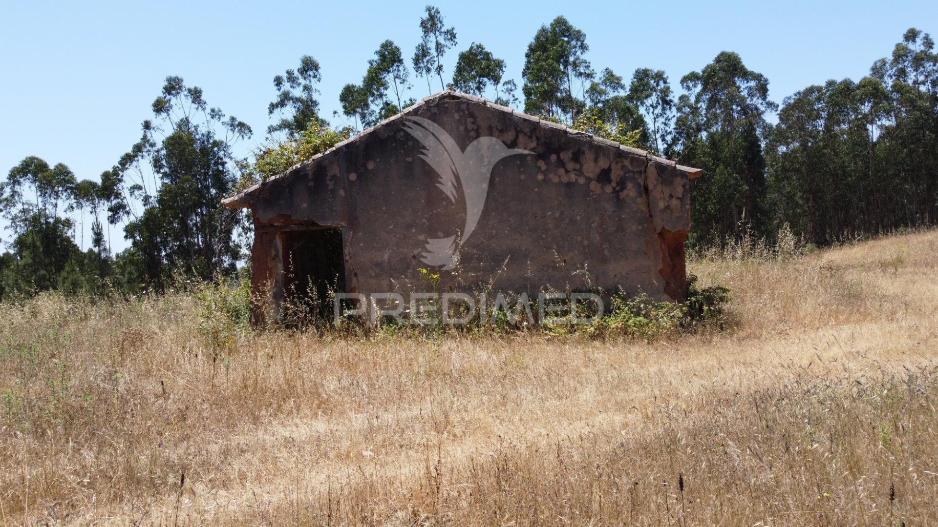 Herdade  53 hectares com projeto de arquitetura – odemira
