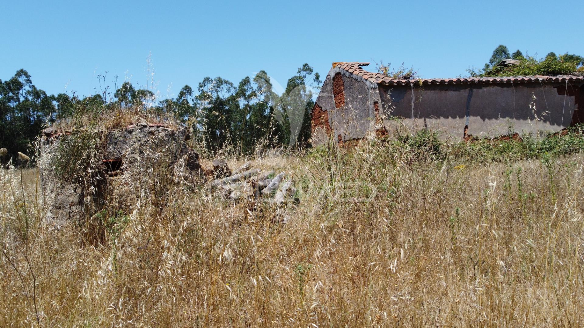 Herdade  53 hectares com projeto de arquitetura – odemira