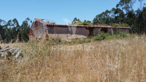 Herdade  53 hectares com projeto de arquitetura – odemira
