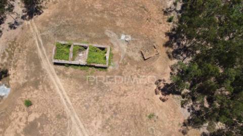 Herdade  53 hectares com projeto de arquitetura – odemira