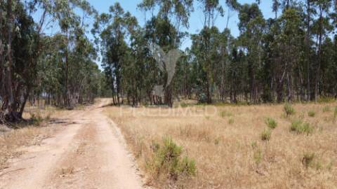 Herdade  53 hectares com projeto de arquitetura – odemira