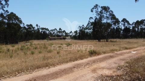 Herdade  53 hectares com projeto de arquitetura – odemira