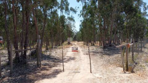 Herdade  53 hectares com projeto de arquitetura – odemira