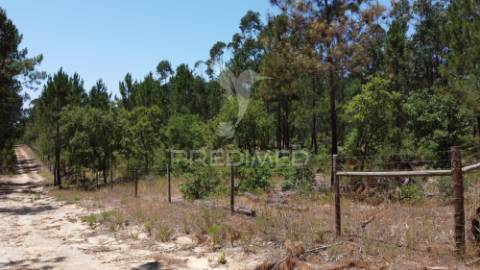 Herdade  53 hectares com projeto de arquitetura – odemira