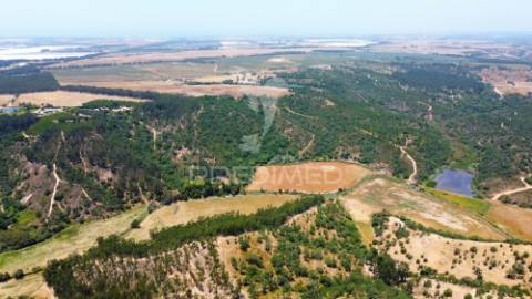 Herdade  53 hectares com projeto de arquitetura – odemira