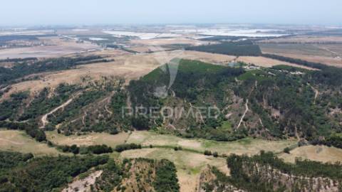 Herdade  53 hectares com projeto de arquitetura – odemira