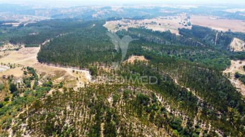 Herdade  53 hectares com projeto de arquitetura – odemira