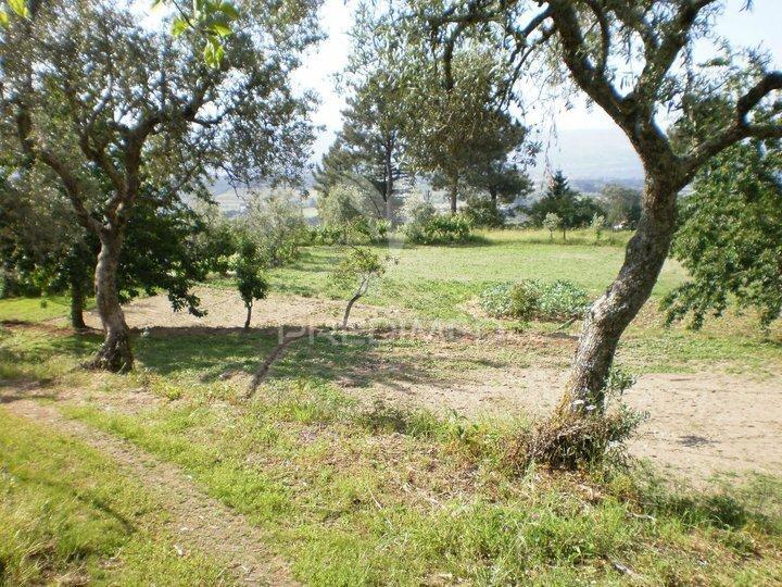 Quinta t6 com 5,6 hectares, duas moradias e água própria | gouveia