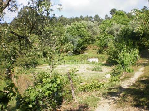Quinta t6 com 5,6 hectares, duas moradias e água própria | gouveia