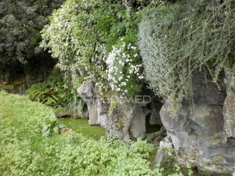 Quinta t6 com 5,6 hectares, duas moradias e água própria | gouveia