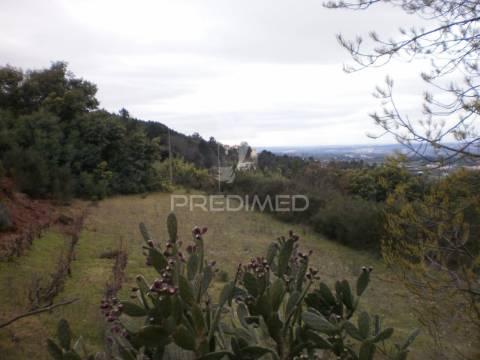 Quinta t6 com 5,6 hectares, duas moradias e água própria | gouveia