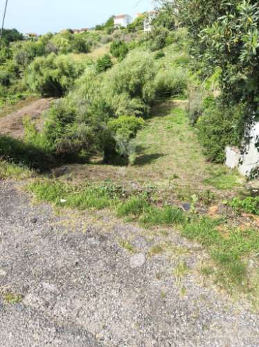 Terreno construção almalaguês, coimbra
