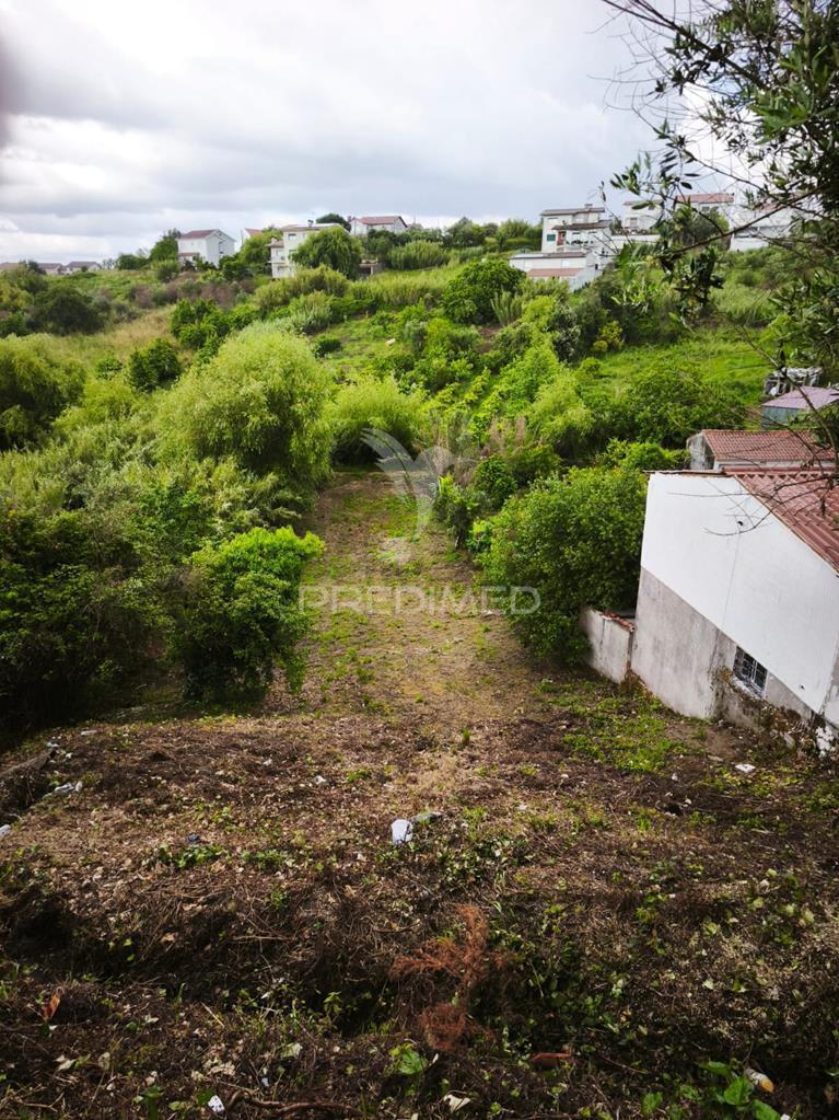 Terreno construção almalaguês, coimbra