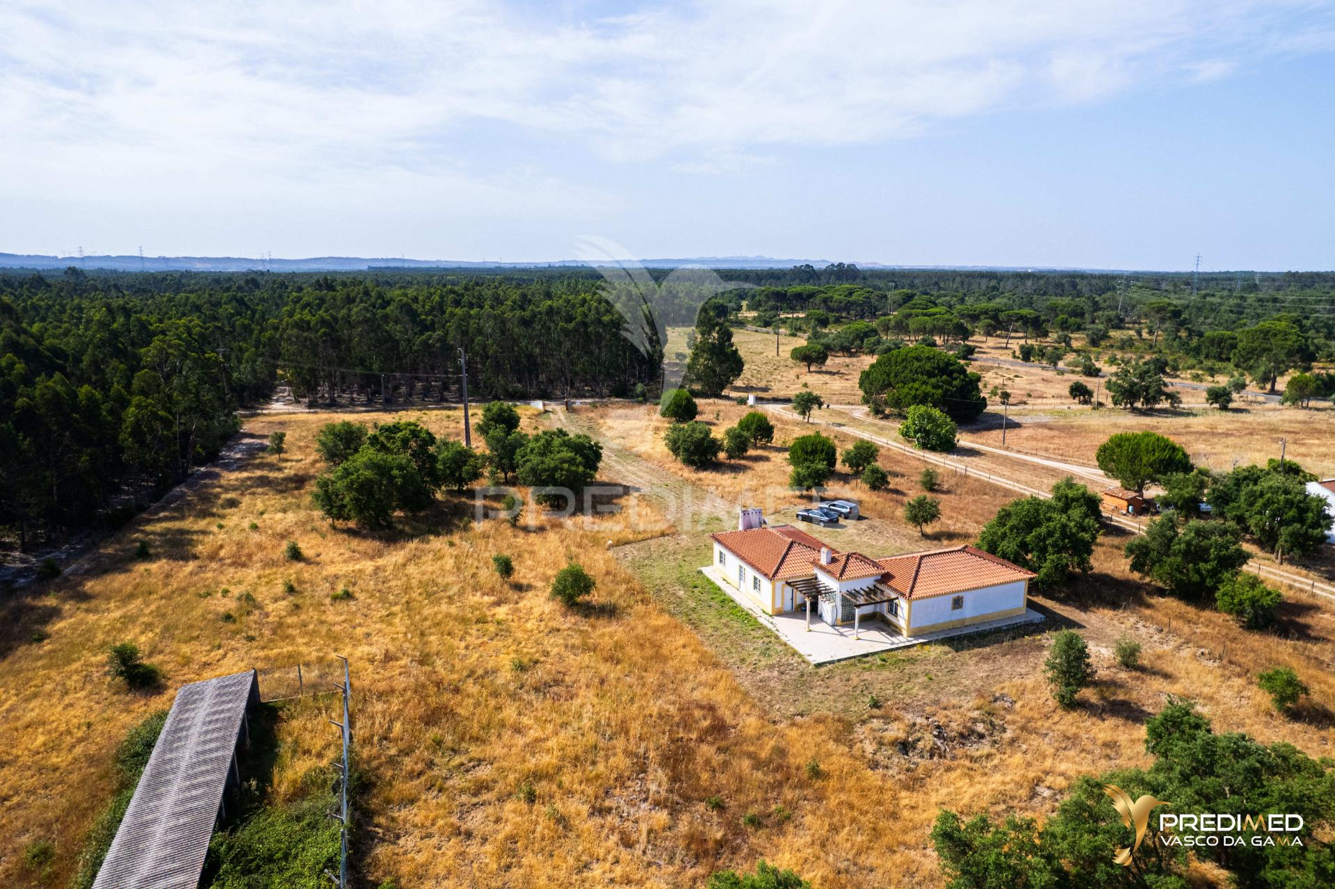 Herdade com 39500 m2 e habitação com 150 m2 de área coberta em ótimo estado de conservação