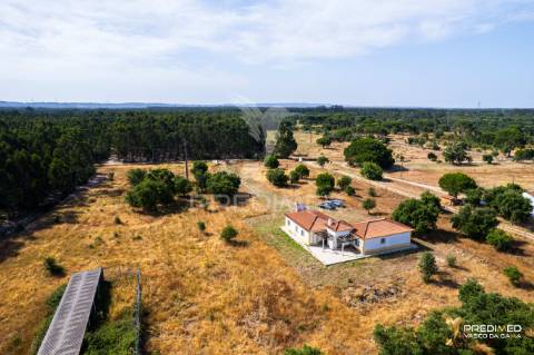 Herdade com 39500 m2 e habitação com 150 m2 de área coberta em ótimo estado de conservação