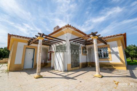 Herdade com 39500 m2 e habitação com 150 m2 de área coberta em ótimo estado de conservação