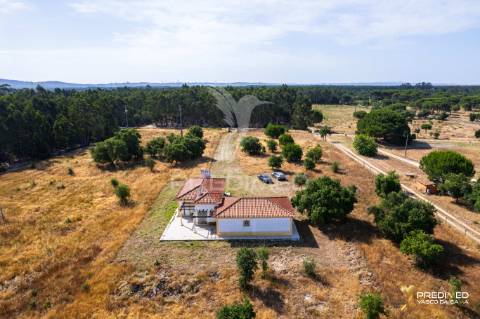 Herdade com 39500 m2 e habitação com 150 m2 de área coberta em ótimo estado de conservação