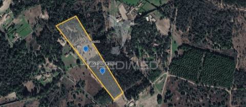 Herdade com 39500 m2 e habitação com 150 m2 de área coberta em ótimo estado de conservação