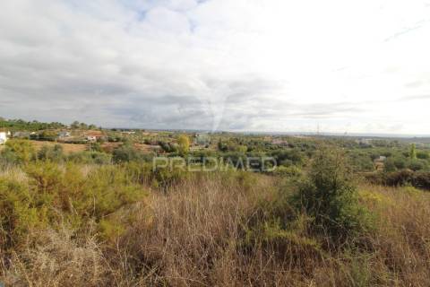 Terreno rústico - brogueira, torres novas