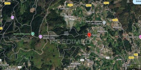 Terreno  com 41.305 m² – excelente oportunidade de investimento