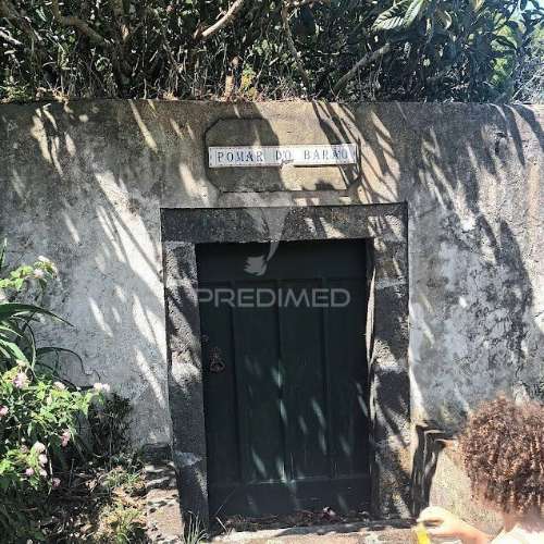 Terreno/pomar