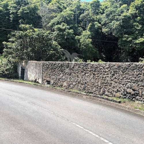 Terreno/pomar
