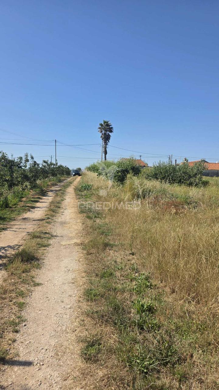 Terreno em aljubarrota para comprar