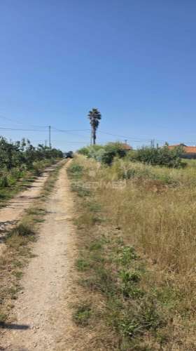 Terreno em aljubarrota para comprar