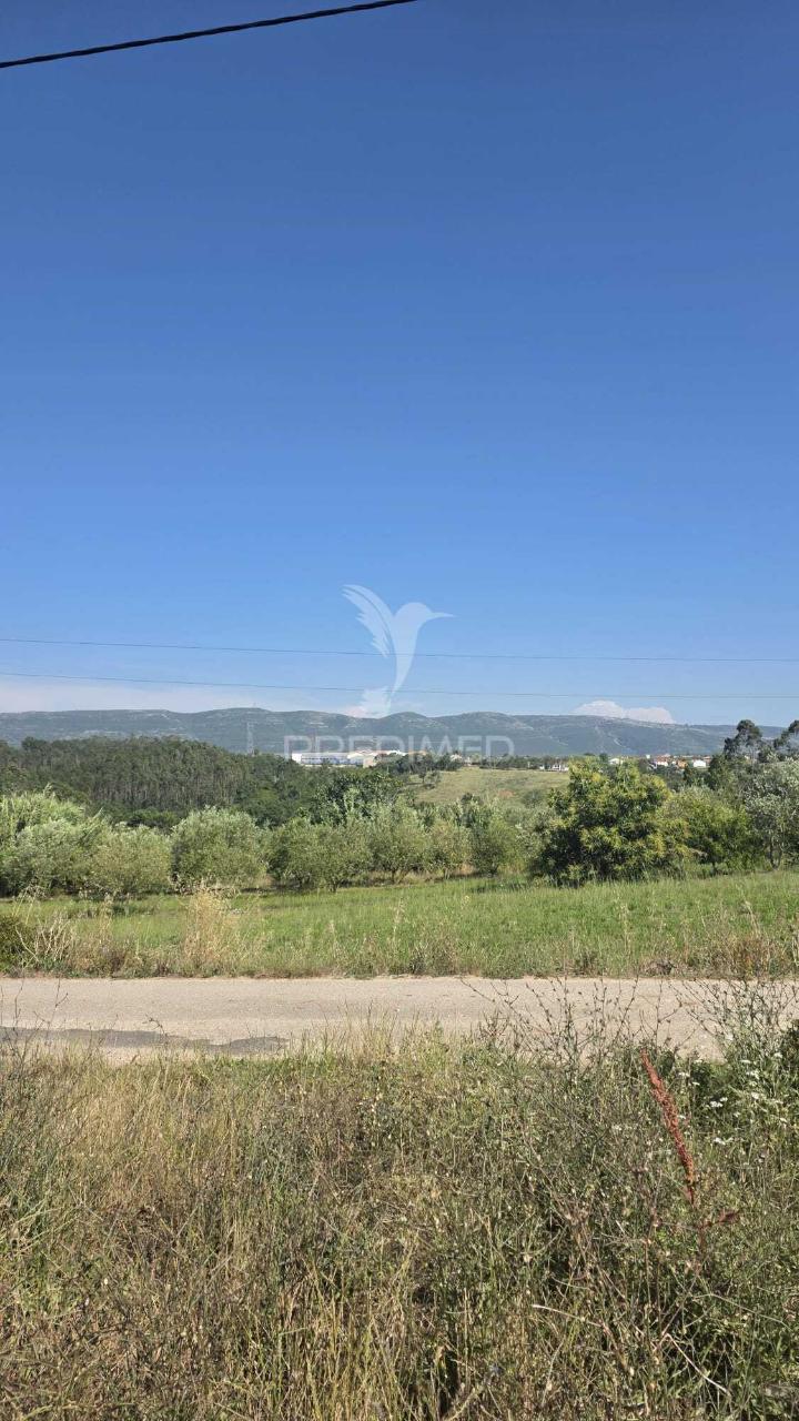 Terreno em aljubarrota para comprar