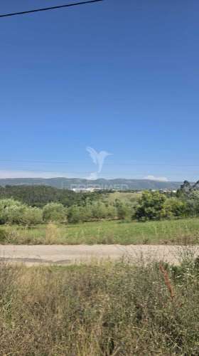 Terreno em aljubarrota para comprar