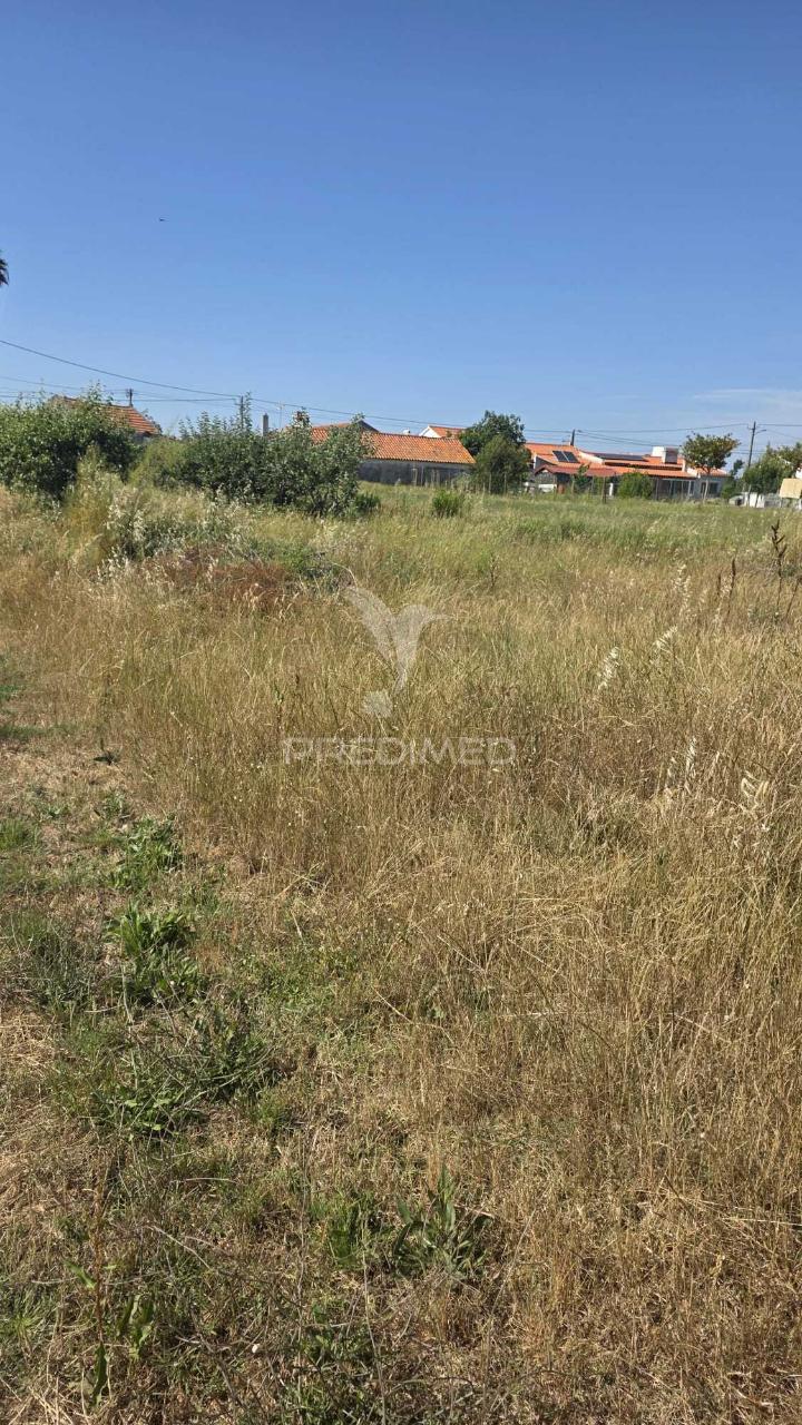 Terreno em aljubarrota para comprar