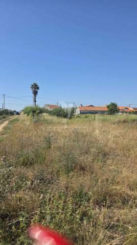 Terreno em aljubarrota para comprar