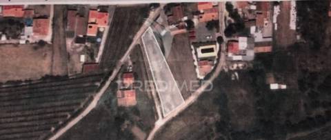 Terreno em aljubarrota para comprar