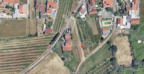 Terreno em aljubarrota para comprar