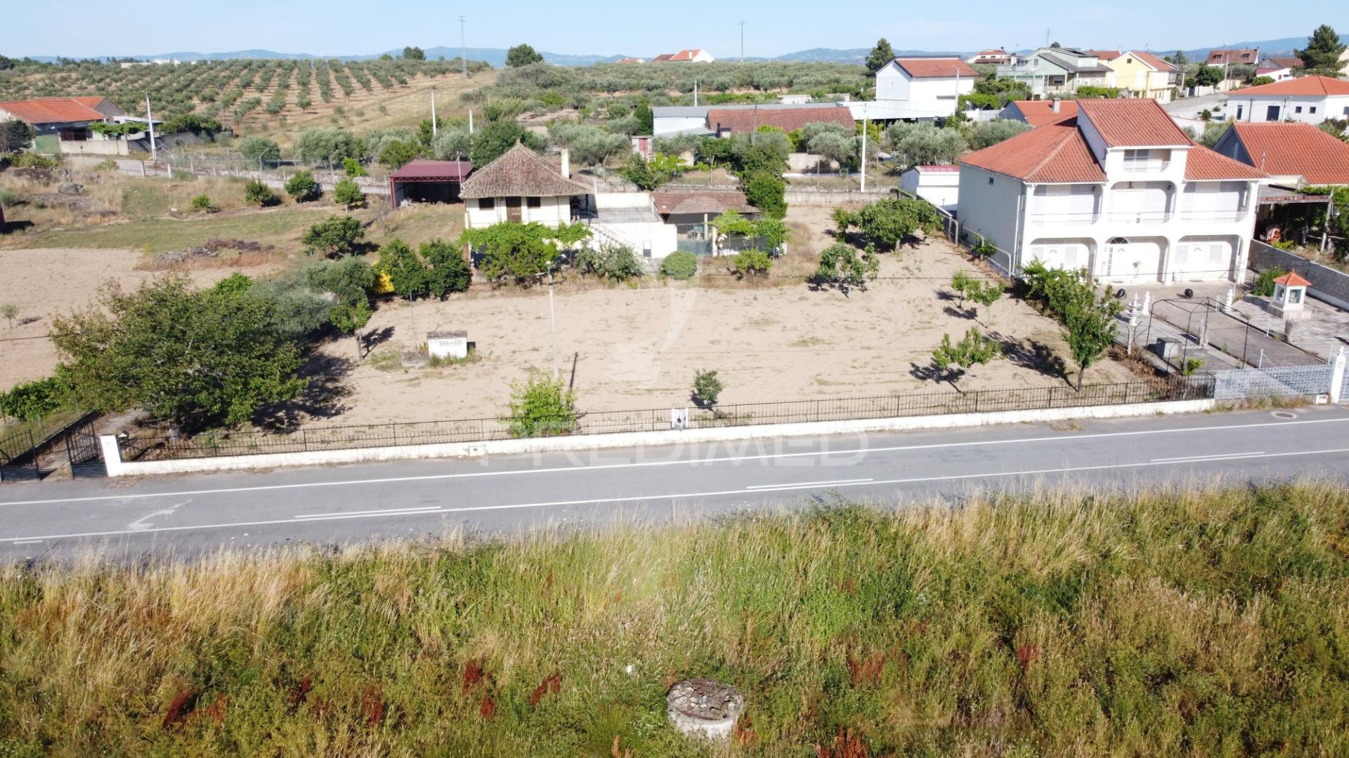 Moradia com terreno e olival à venda na bouça – mirandela