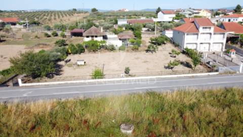 Moradia com terreno e olival à venda na bouça – mirandela