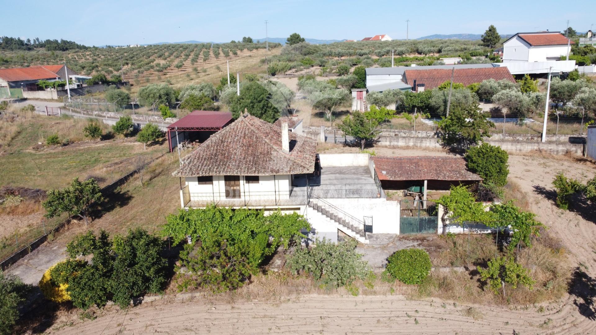 Moradia com terreno e olival à venda na bouça – mirandela