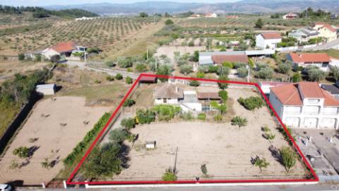 Moradia com terreno e olival à venda na bouça – mirandela