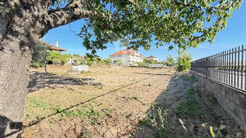 Moradia com terreno e olival à venda na bouça – mirandela
