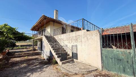 Moradia com terreno e olival à venda na bouça – mirandela