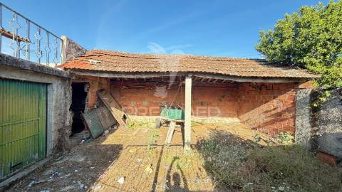 Moradia com terreno e olival à venda na bouça – mirandela