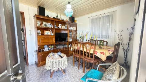 Moradia com terreno e olival à venda na bouça – mirandela