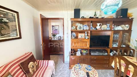 Moradia com terreno e olival à venda na bouça – mirandela