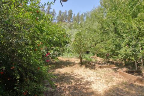 Refúgio no do alentejo – pronto a habitar